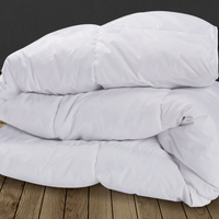 IDMarket - Piumino 220x240 CM in piuma d'oca antiacaro 500 gr AELA
