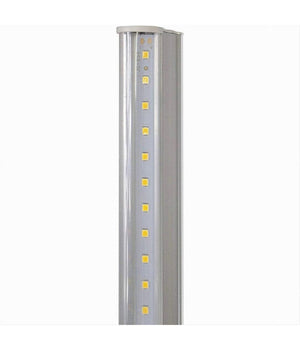 Plafoniera Neon Sottopensile Led Trasparente Tubo 30 Cm 5 Watt Reglette T5-30t  -bianco Freddo      -