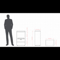 Planika - Camino a Bioetanolo Senso Stove BEV Senza Canna Fumaria, Controllo Remoto, Acciaio, Stufa a bioetanolo