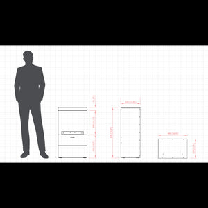 Planika - Camino a Bioetanolo Senso Stove BEV Senza Canna Fumaria, Controllo Remoto, Acciaio, Stufa a bioetanolo