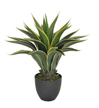 Pianta Artificiale Agave Attenuata con Vaso H 60 cm