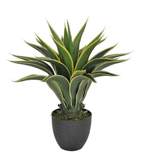 Pianta Artificiale Agave Attenuata con Vaso H 60 cm