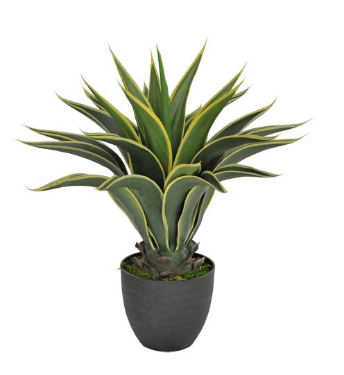 Pianta Artificiale Agave Attenuata con Vaso H 60 cm