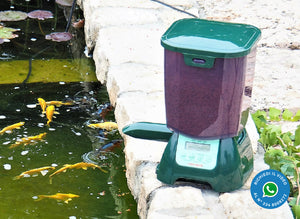 Mangiatoia automatica grande per laghetti e stagni da litri 7