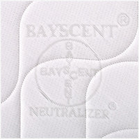 Materasso 55x135 per Culla, alto 20 cm - MemoryFoam, Sfoderabile, Rivestimento Bayscent | Pokémon