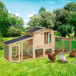 ProBache - Pollaio con doppia conigliera in legno per 2-3 polli VIP XXL