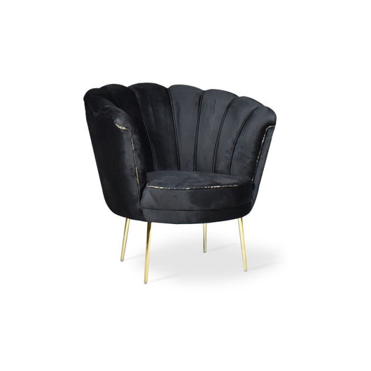 Poltrona a conchiglia Orel velluto nero e piedi oro