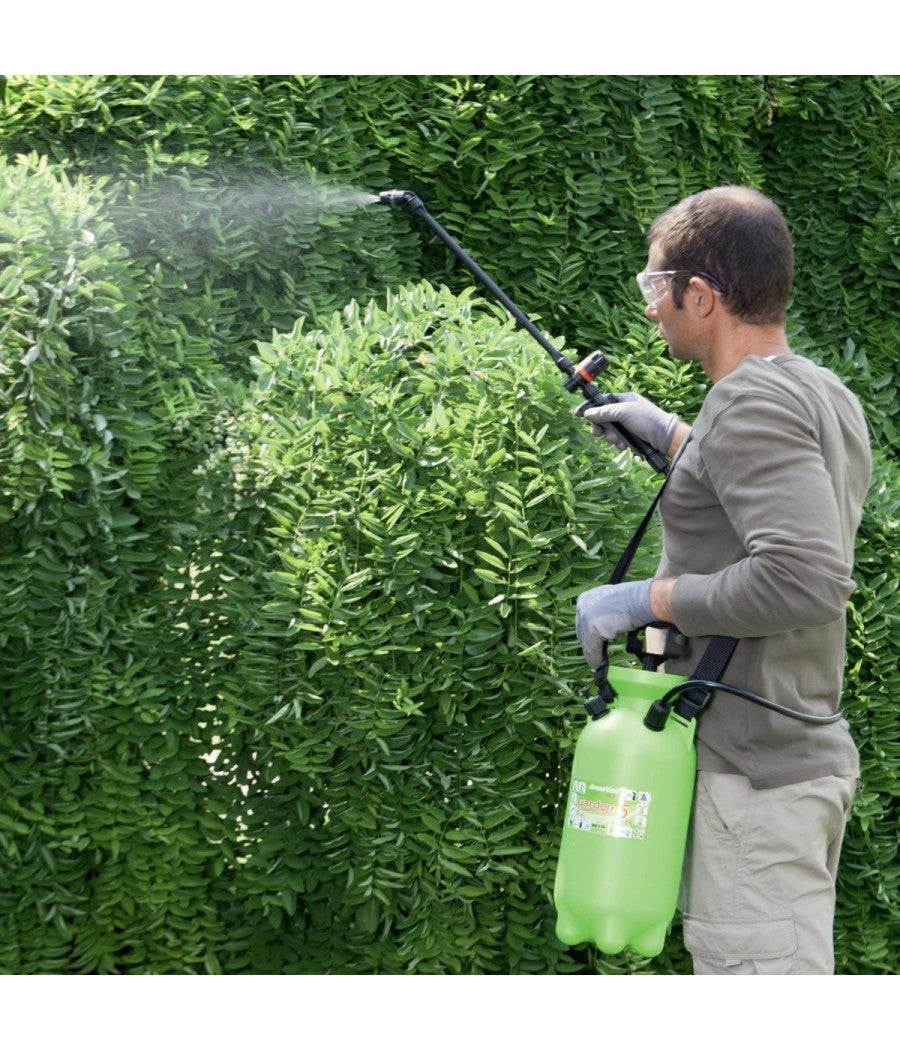 Pompa Nebulizzatore A Mano Irrigazione Di Martino Garden 5 Giardino Professional         