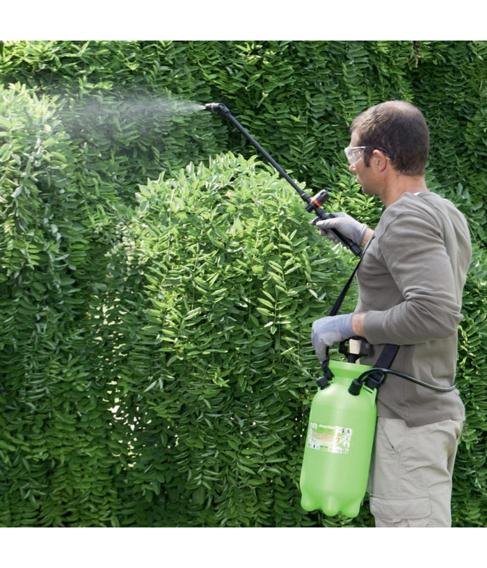Pompa Nebulizzatore A Mano Irrigazione Di Martino Garden 5 Giardino Professional         