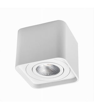 Portafaretto Orientabile Da Soffitto Bianco Per Faretto Gu10 / Gu5.3 P34-gu10-b1         