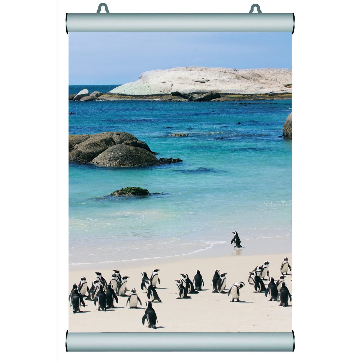 Poster frames profili porta poster snap online 50 cm