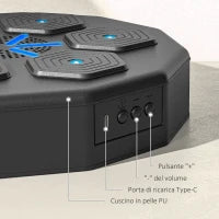 Macchina da Boxe Musicale a Parete, con Connessione Bluetooth e Luci Blu, 40x40 cm, Nero
