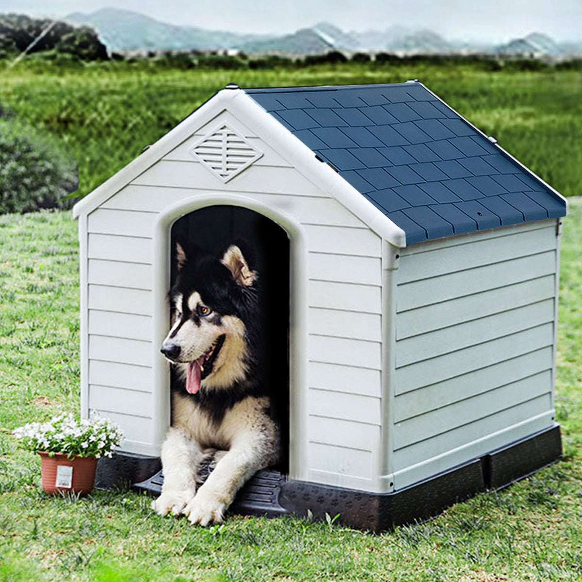 Casetta impermeabile e ventilata per cani, Cuccia con valvole d¡¯aria e pavimento rialzato-Casette e lettini
