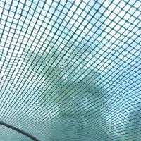 Serra per Orto a Tunnel con Porta e 8 Finestre, Serra da Giardino in PE e Metallo Zincato, per Coltivazaione Piante, 600x300x200cm