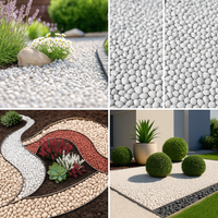 Block stone legante liquido per pietre e ghiaia *** formato 5 l, confezione 1