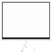 Telo Proiettore da 120" Formato 4:3 in Tessuto a Rete, Plastica e Metallo con Treppiedi, 244x190 cm, Bianco