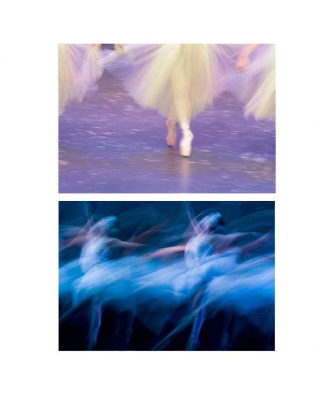 Quadro stampa astratto ballerine 2 assortiti