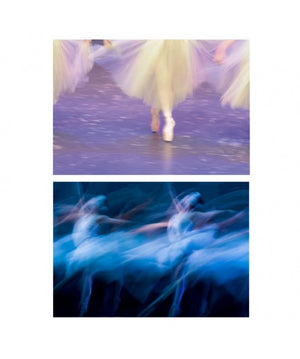 Quadro stampa astratto ballerine 2 assortiti