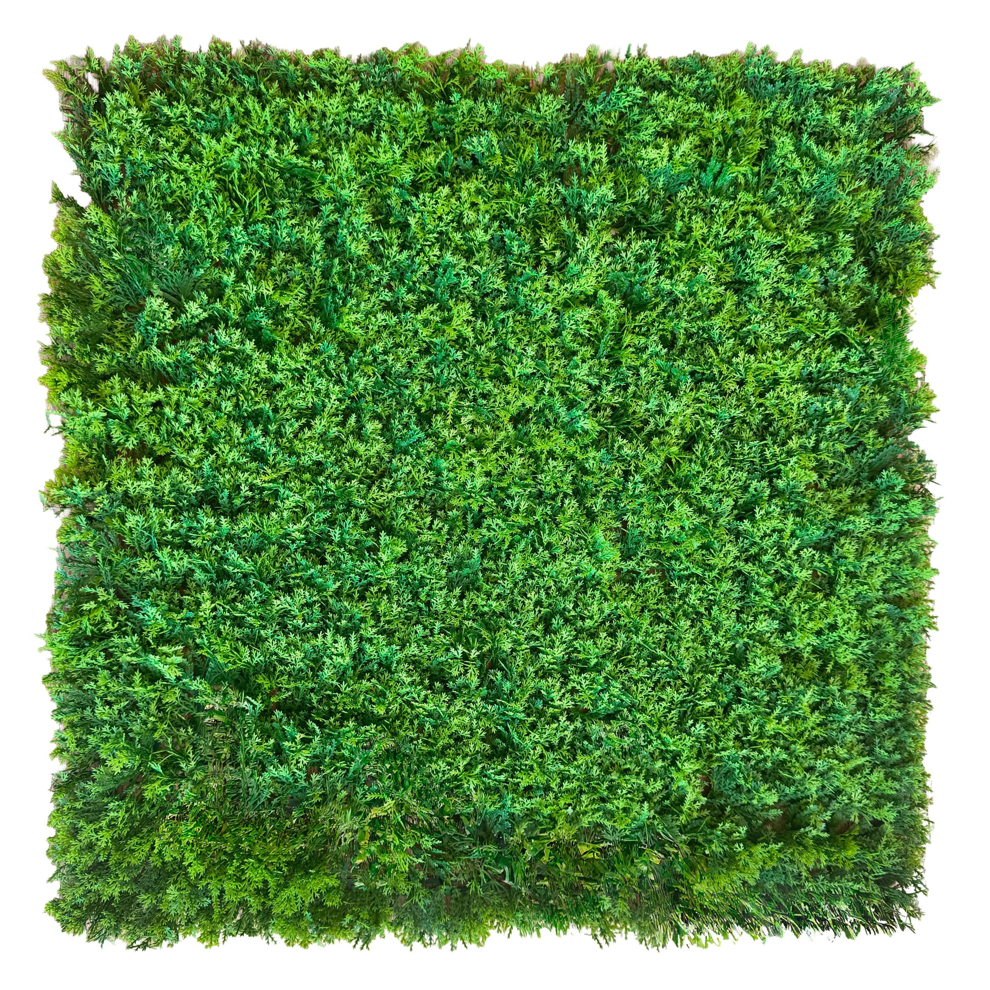 Pannelli Verde Verticale 50×50 cm Ultra-realistici e folti, per interno/esterno MUSCHIO PLUVIALE - Eternal Parquet