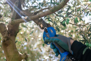 Forbici da potatura elettriche 16.8V LI-ION 2Ah. Diametro di taglio 25-32mm. Potenza di taglio 840W Goodyear