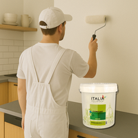 Idropittura lavabile traspirante bianca interni umidità comfort fermamuffa plus *** formato 13 lt, confezione 1