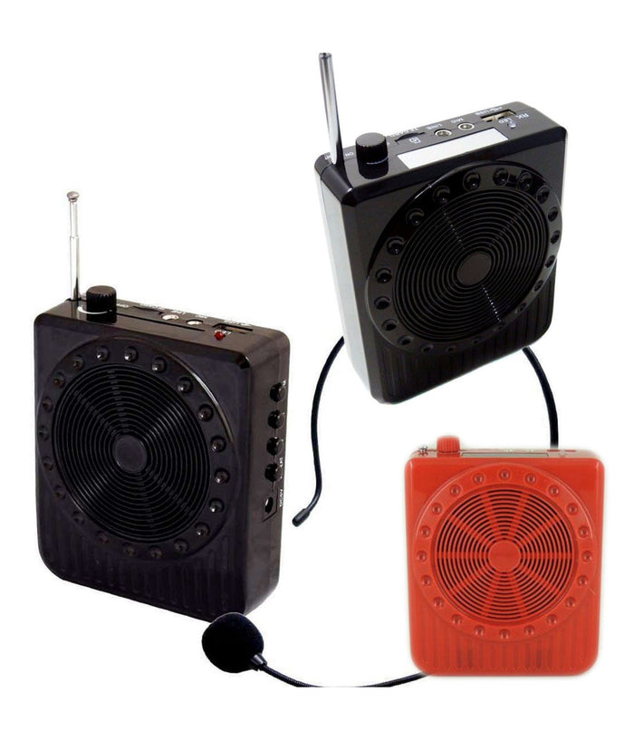 Radio Fm Karaoke Usb Cassa Speaker Microfono Archetto Amplificatore Audio 20w         