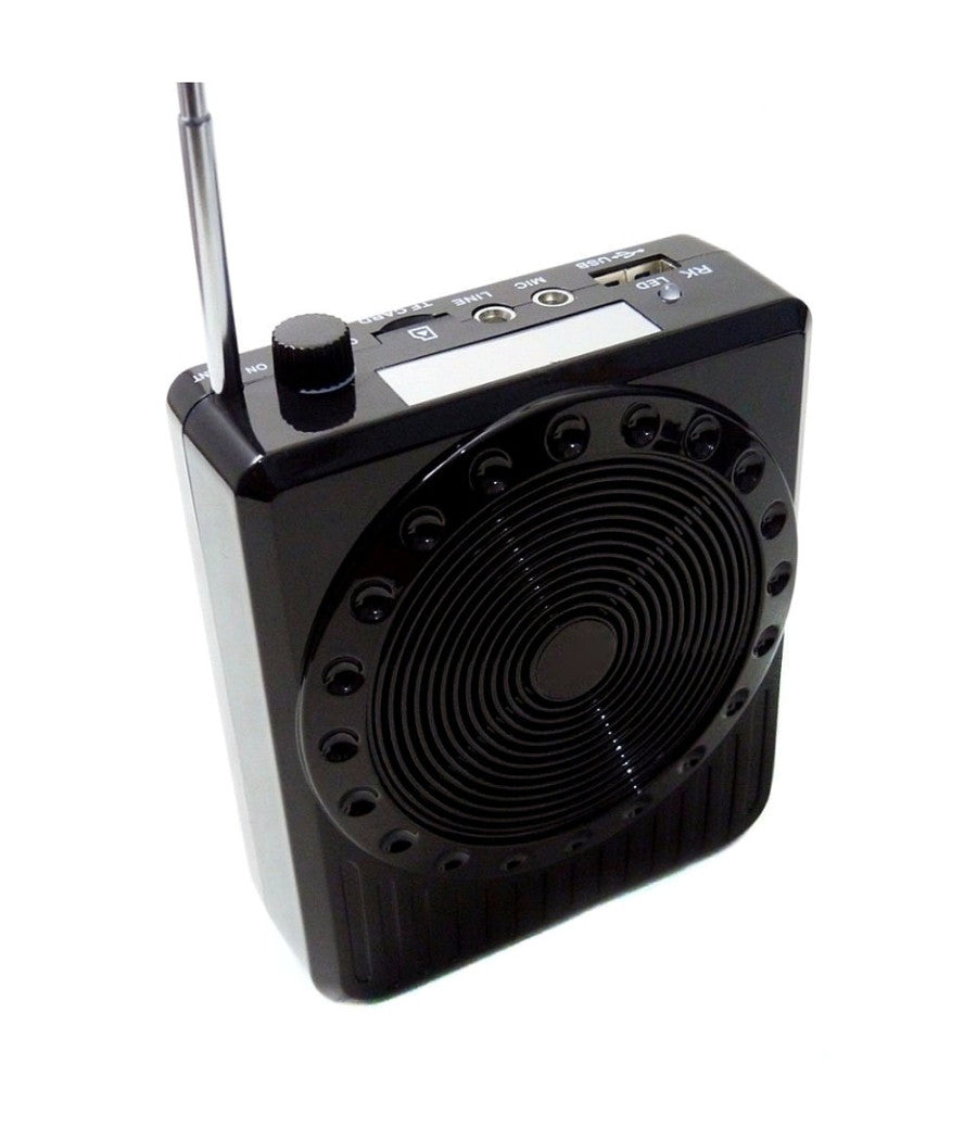 Radio Fm Karaoke Usb Cassa Speaker Microfono Archetto Amplificatore Audio 20w         