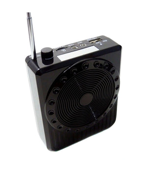 Radio Fm Karaoke Usb Cassa Speaker Microfono Archetto Amplificatore Audio 20w         