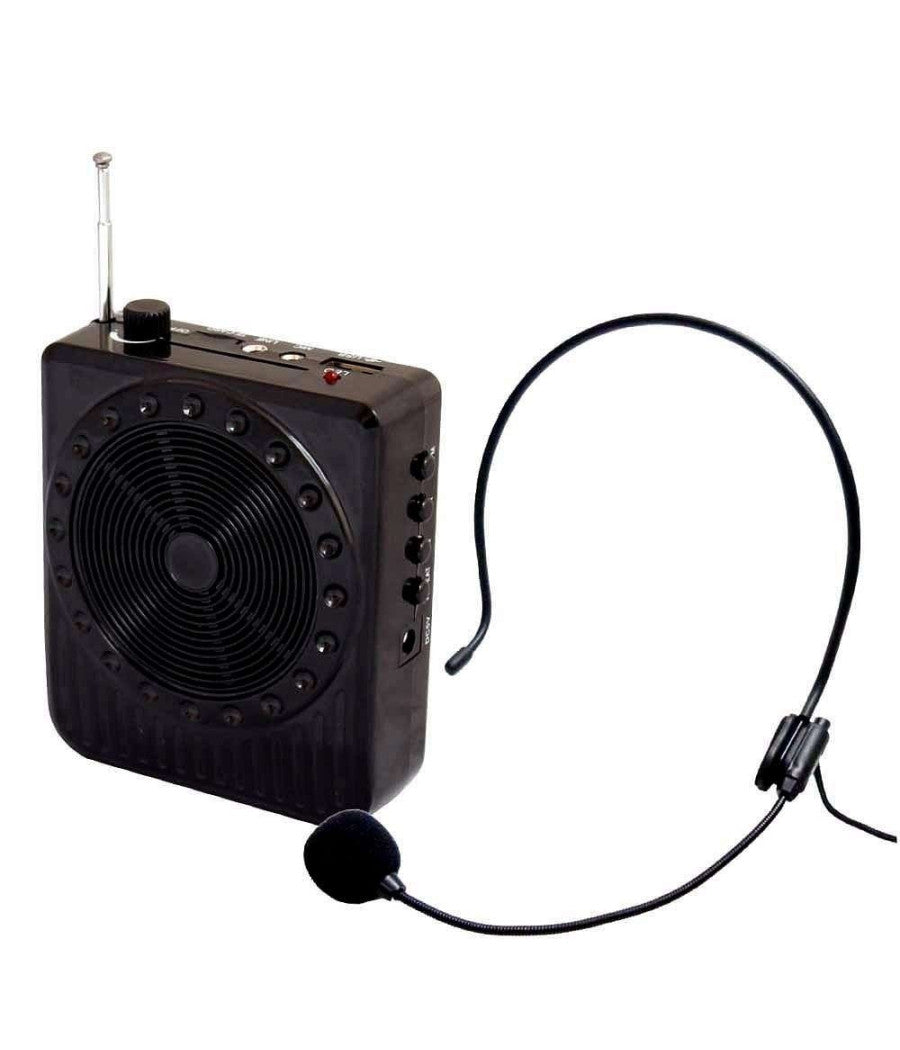 Radio Fm Karaoke Usb Cassa Speaker Microfono Archetto Amplificatore Audio 20w         