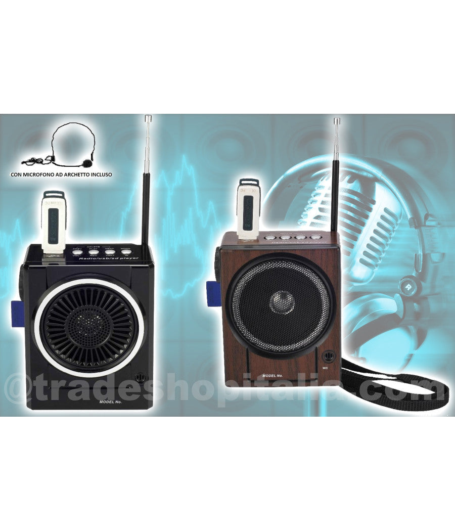 Radio Fm Karaoke Usb Cassa Speaker Mp3 Sd Ricaricabile Con Torcia E Microfono         