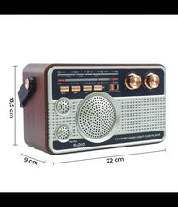 Radio Fm Retro Wireless Altoparlante Mp3 Portatile Bluetooth Usb Aux Tf Q-fm01         