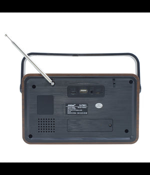 Radio Fm Retro Wireless Altoparlante Mp3 Portatile Bluetooth Usb Aux Tf Q-fm01         