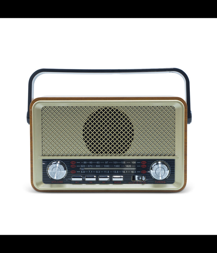 Radio Fm Retro Wireless Altoparlante Mp3 Portatile Bluetooth Usb Aux Tf Q-sy500         