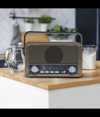 Radio Fm Retro Wireless Altoparlante Mp3 Portatile Bluetooth Usb Aux Tf Q-sy500         