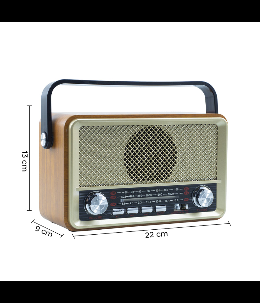 Radio Fm Retro Wireless Altoparlante Mp3 Portatile Bluetooth Usb Aux Tf Q-sy500         