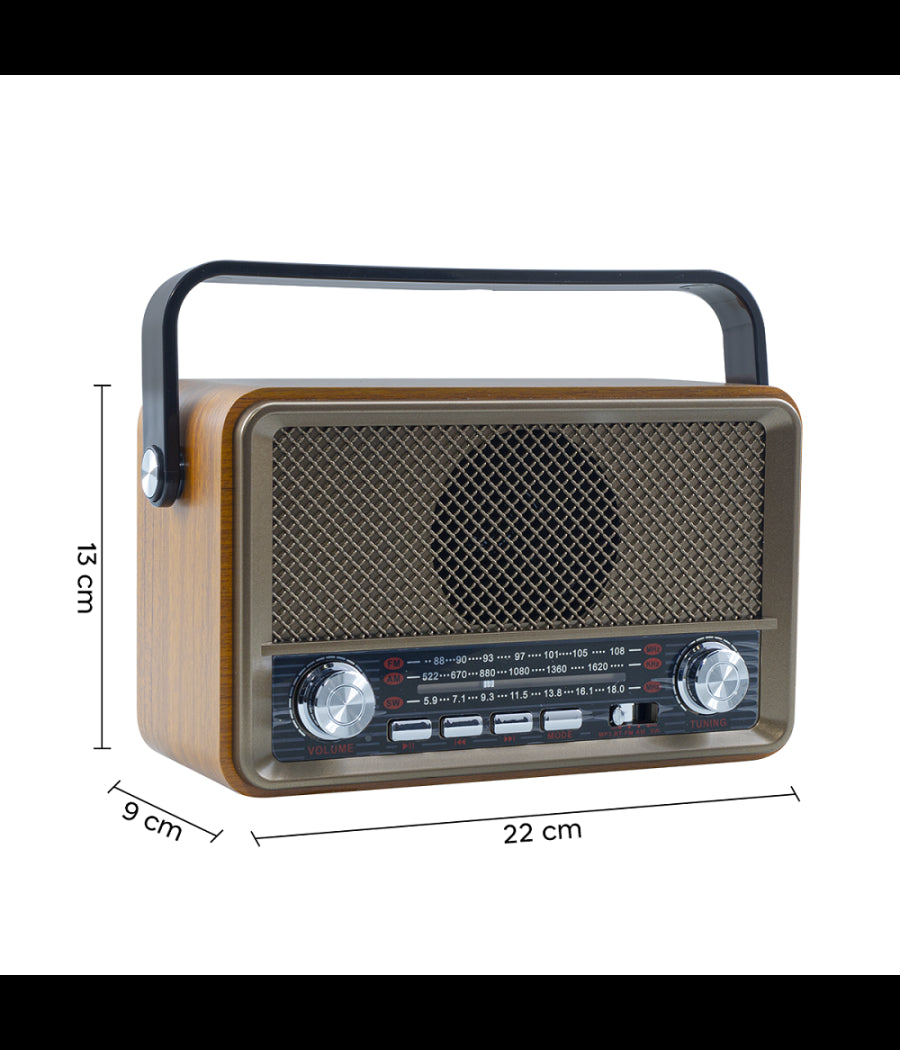 Radio Fm Retro Wireless Altoparlante Mp3 Portatile Bluetooth Usb Aux Tf Q-sy500         