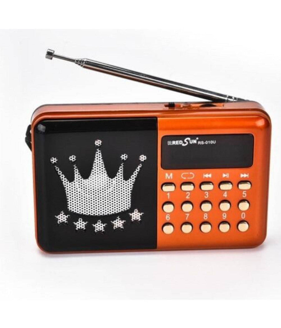 Radio Fm Rs-010u Lettore Musicale Player Portatile Microsd Mmc Usb Aux         