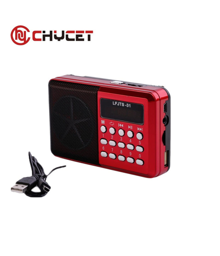 Radio Lettore Mp3 Mini Speaker Portatile Con Flash Driver Tf Card Display Led         