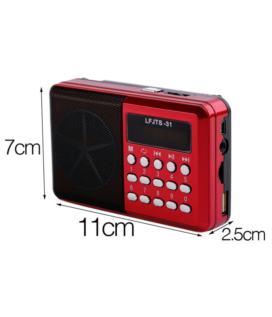Radio Lettore Mp3 Mini Speaker Portatile Con Flash Driver Tf Card Display Led         