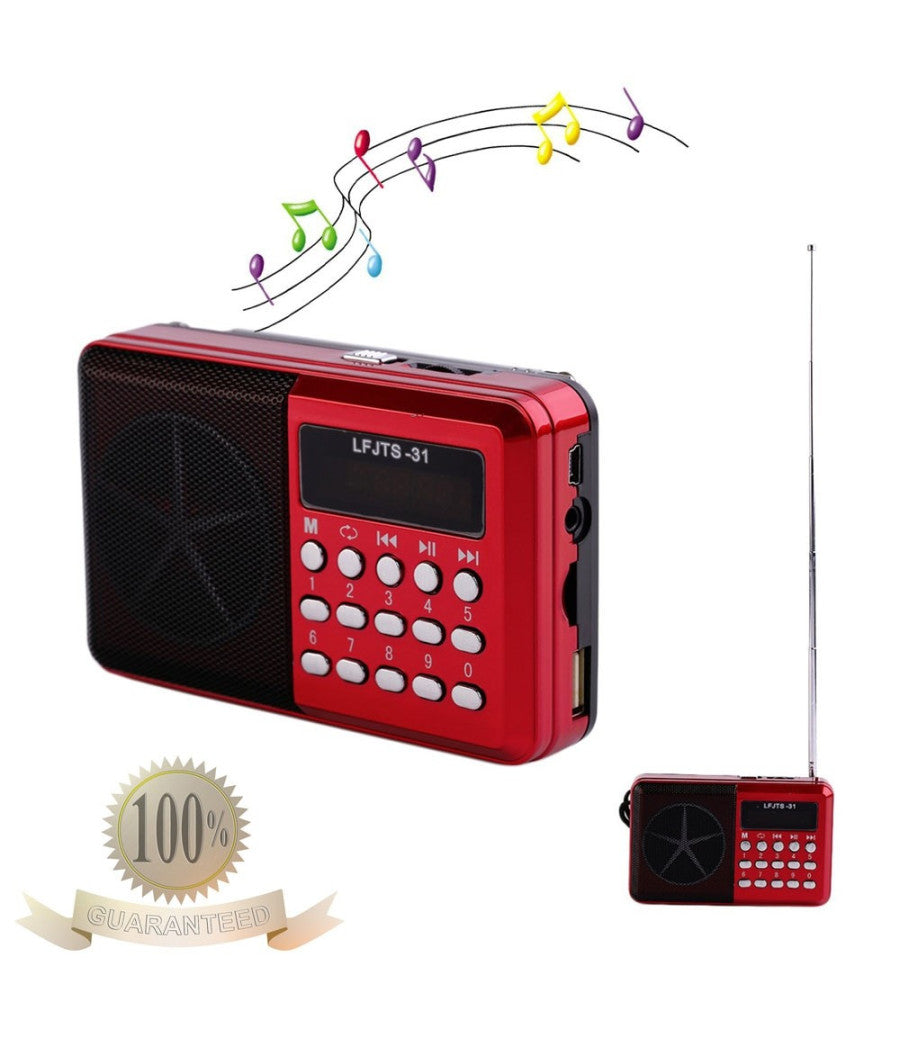 Radio Lettore Mp3 Mini Speaker Portatile Con Flash Driver Tf Card Display Led         