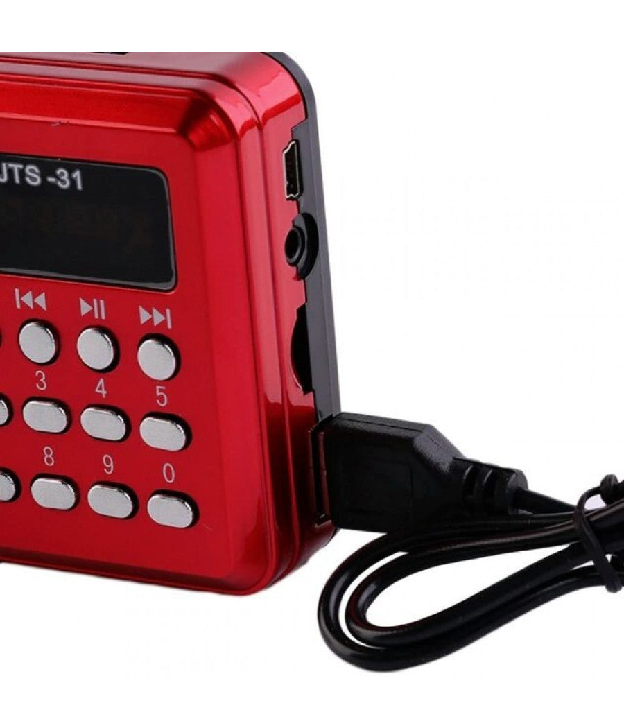 Radio Lettore Mp3 Mini Speaker Portatile Con Flash Driver Tf Card Display Led         