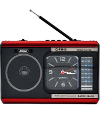 Radio Portatile A Batteria Usb Sveglia Q-fm40 Altoparlante Bluetooth Con Torcia         