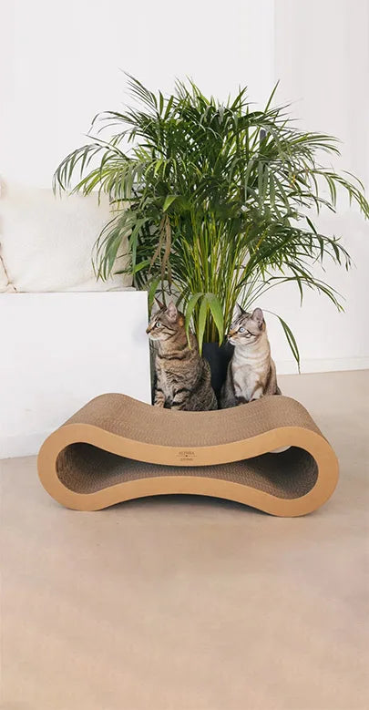 Graffiatoio per gatti a forma di infinito