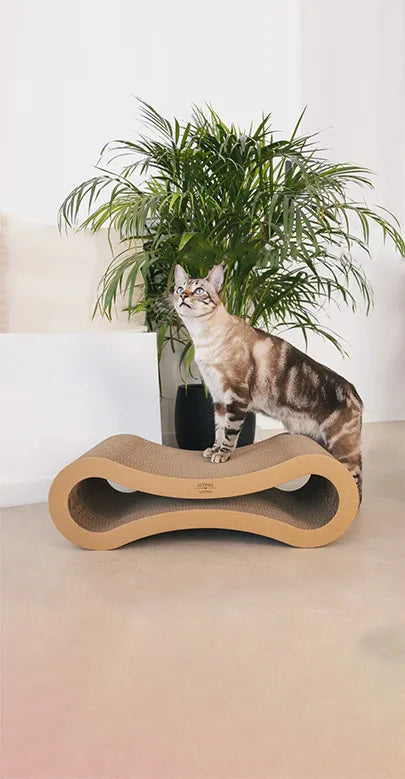 Graffiatoio per gatti a forma di infinito