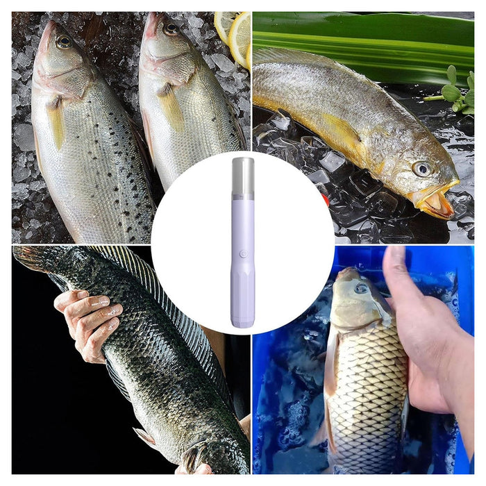 Trade Shop - Raschietto Disincrostante Elettrico Per Squame Pesce Strumento Per Raschiare Portatile -