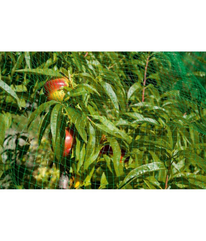 Rete Anti Uccelli Protezione Ortaggi Verde 2 X 5 Metri Giardino Orto Antiuccelli         