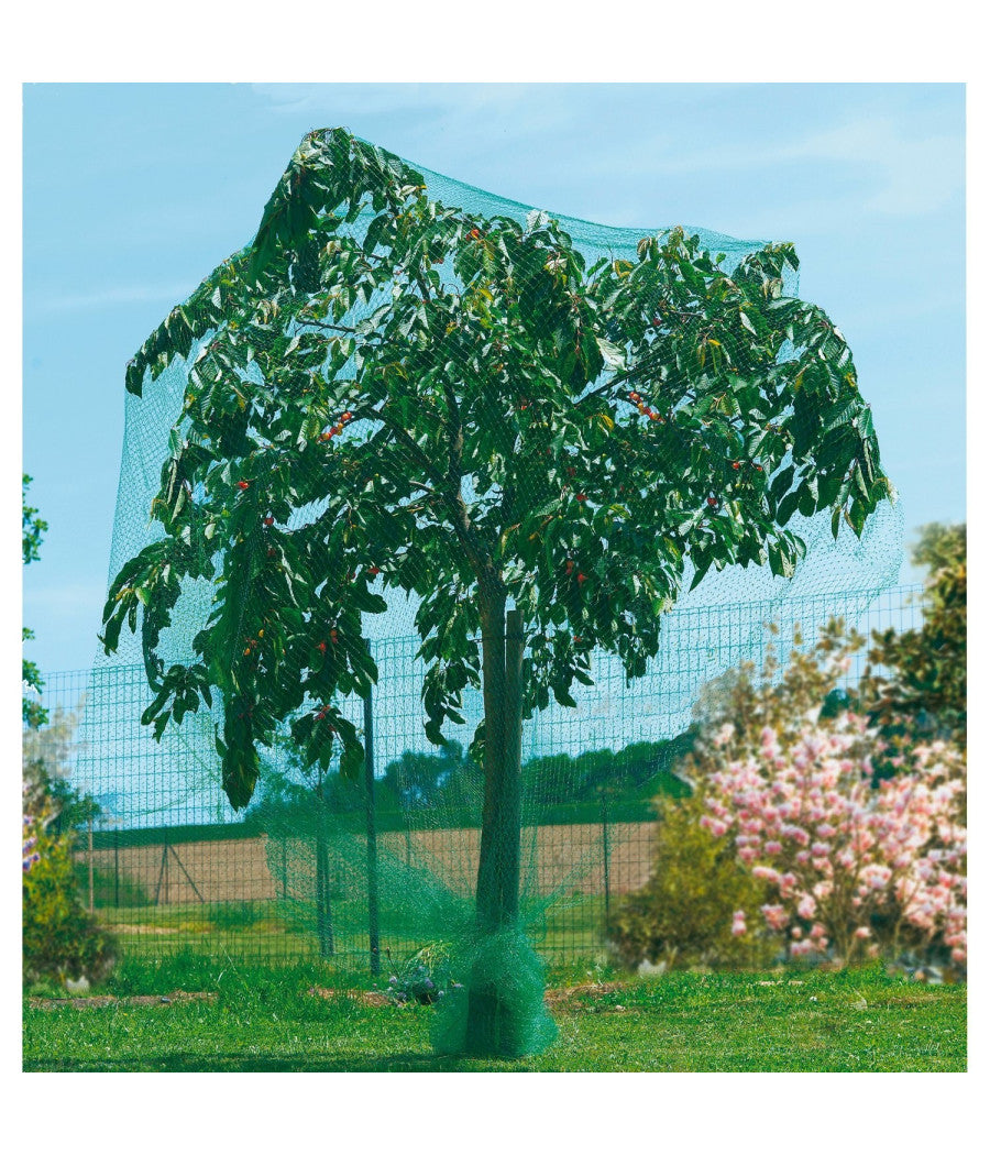 Rete Anti Uccelli Protezione Ortaggi Verde 2 X 5 Metri Giardino Orto Antiuccelli         