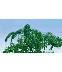 Rete Anti Uccelli Protezione Ortaggi Verde 2 X 5 Metri Giardino Orto Antiuccelli         