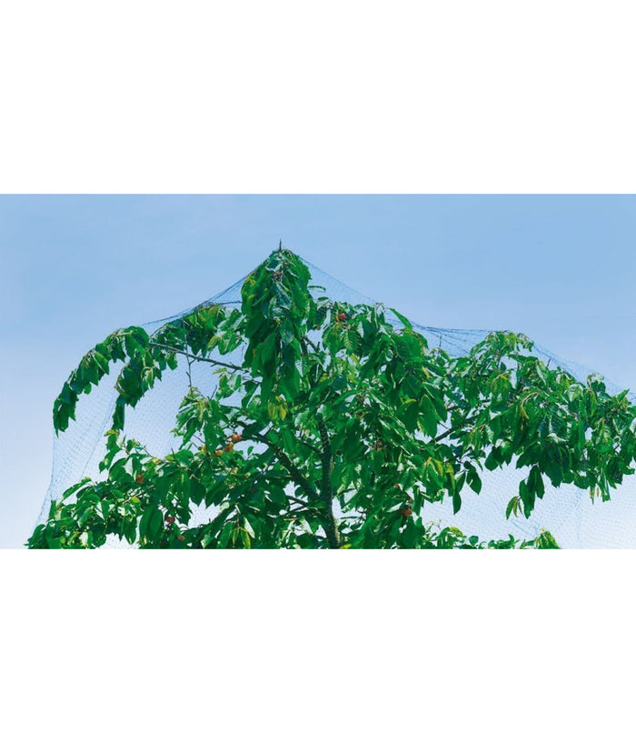 Rete Anti Uccelli Protezione Ortaggi Verde 2 X 5 Metri Giardino Orto Antiuccelli         