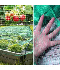 Rete Anti Uccelli Verde In Polietilene Protezione Giardino Orto Piante 2 X 10 Mt         